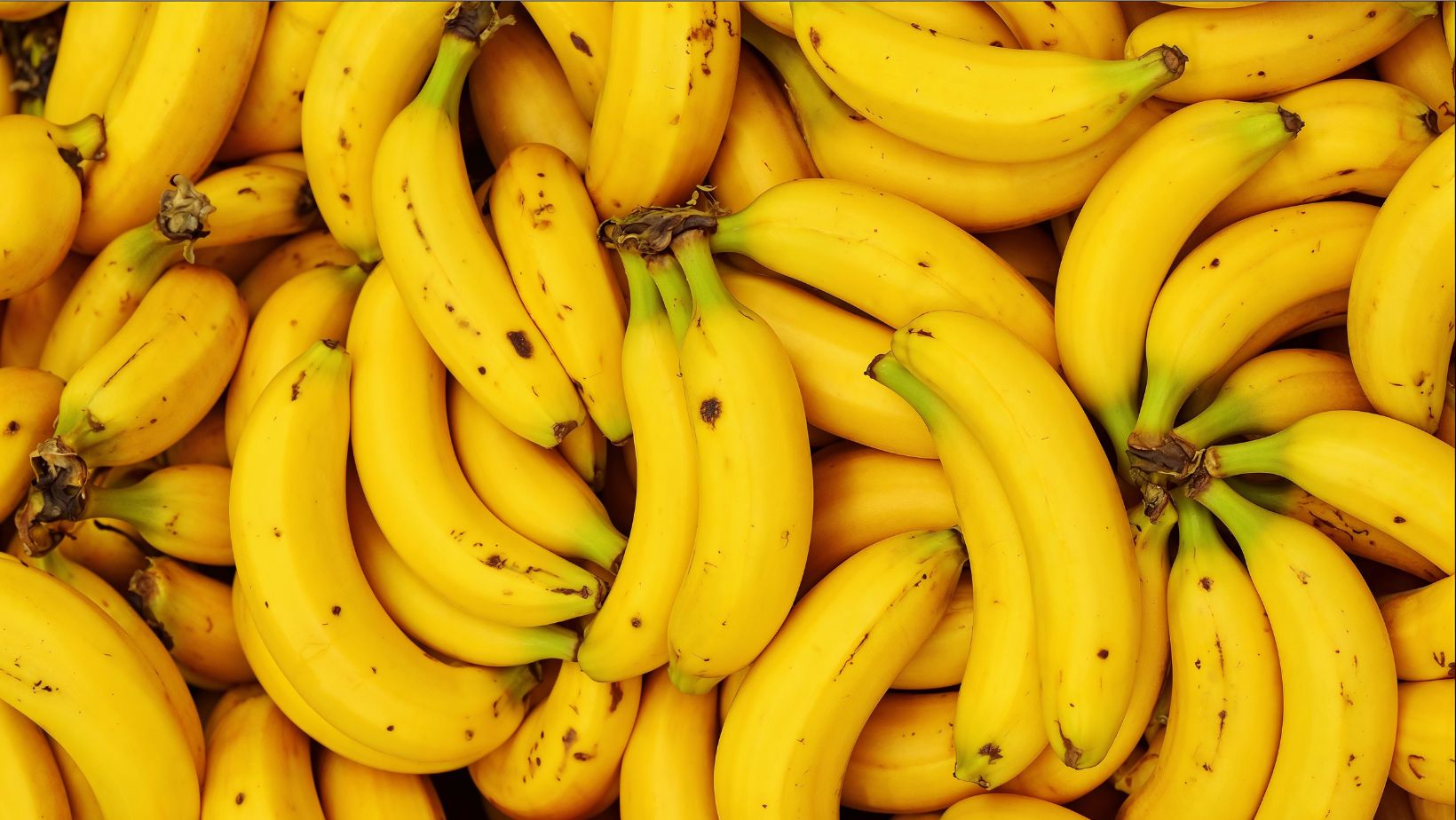 Dry Soft Banana (Latundan)